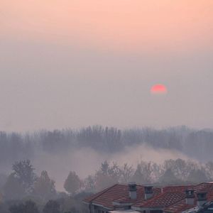 在线观看免费黄片兽人
