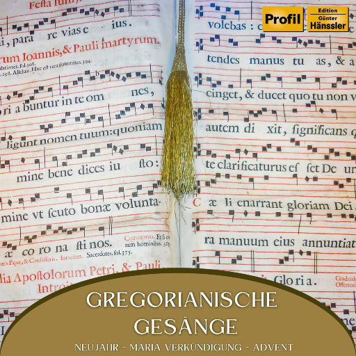 在线观看免费黄片兽人
